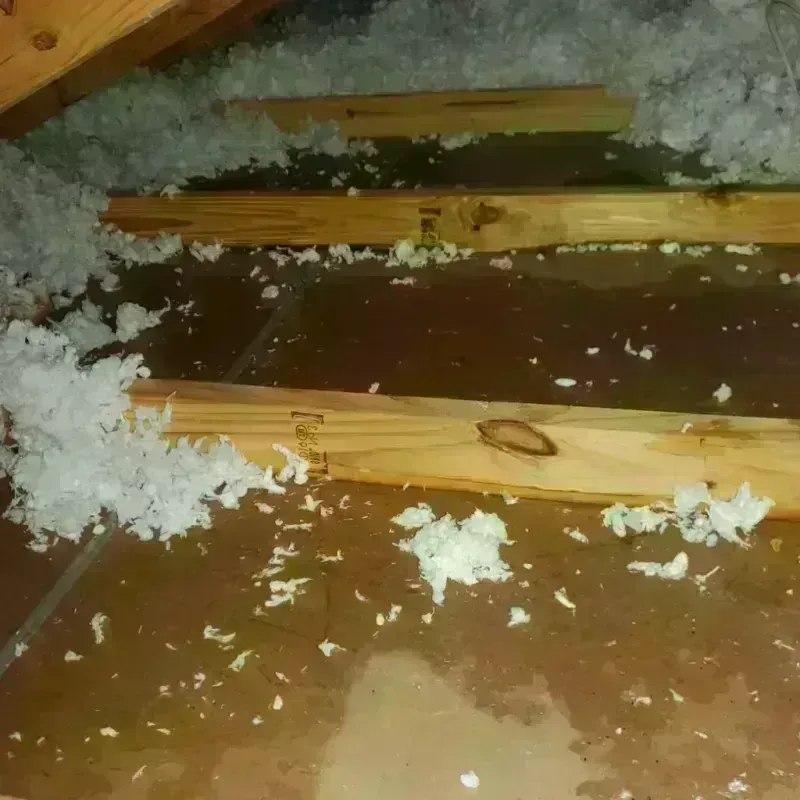 Attic Water Damage in Azle, TX